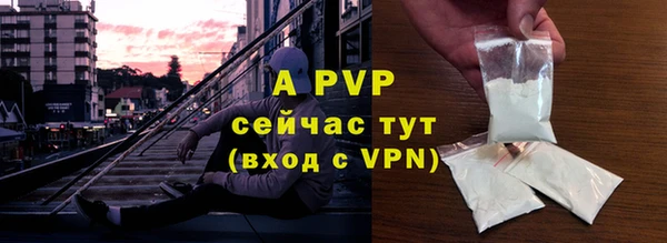 сатива Почеп