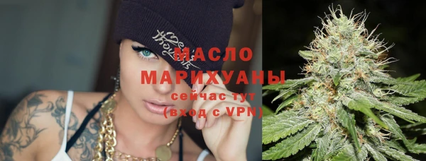 сатива Почеп