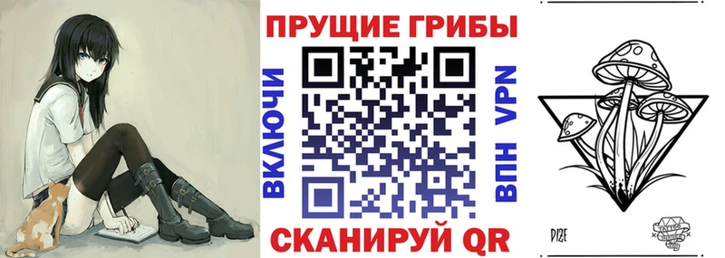гидра   Славгород  Псилоцибиновые грибы мицелий 