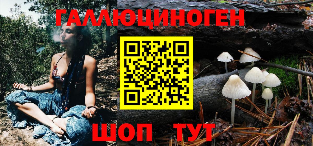 Галлюциногенные грибы мицелий  Вход с VPN  Славгород 