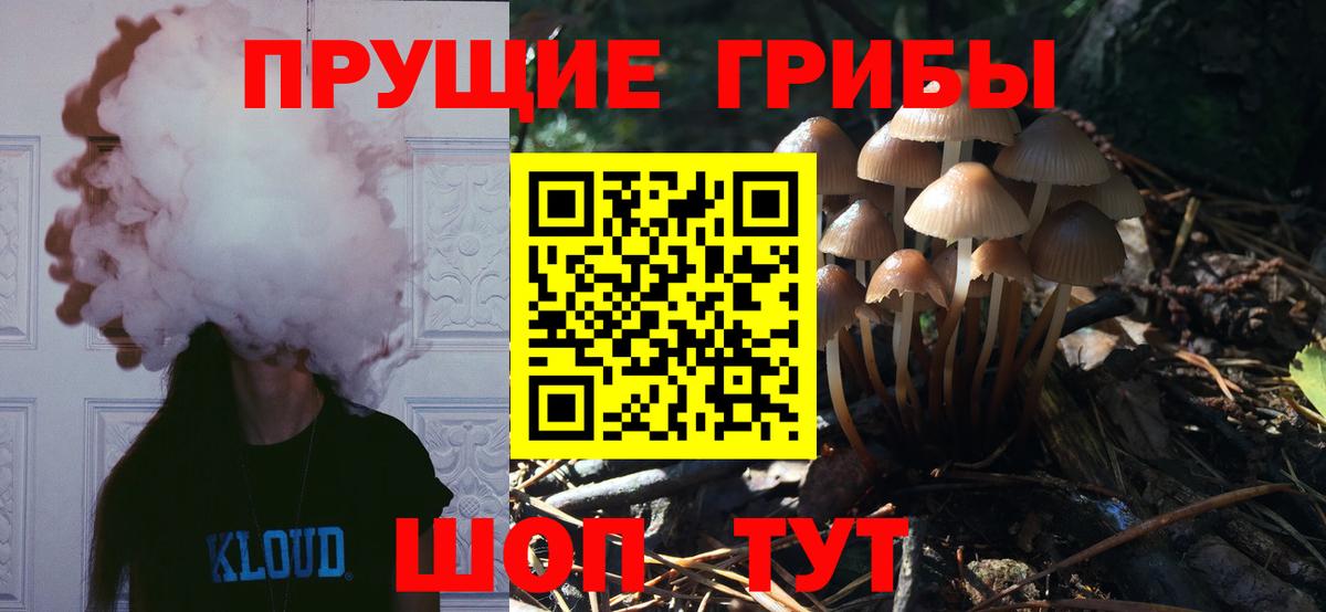 Галлюциногенные грибы прущие грибы Славгород