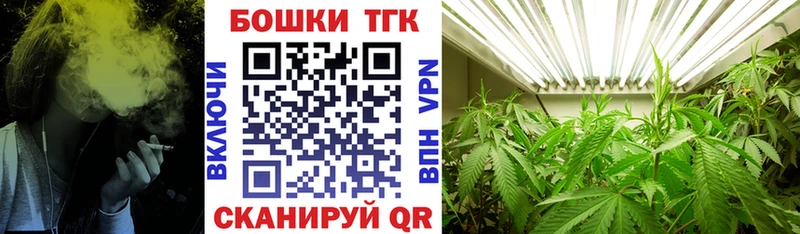 как найти наркотики  Славгород  blacksprut зеркало  Бошки Шишки White Widow 