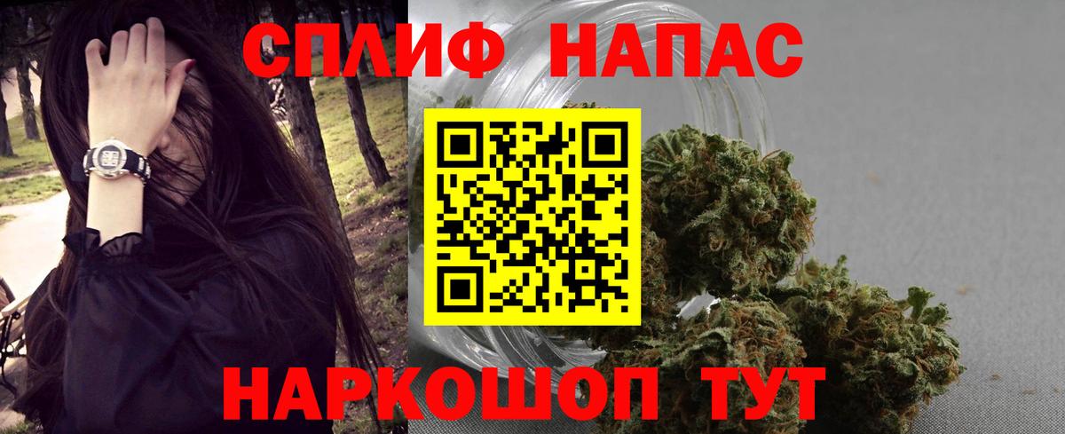 Марихуана план Славгород